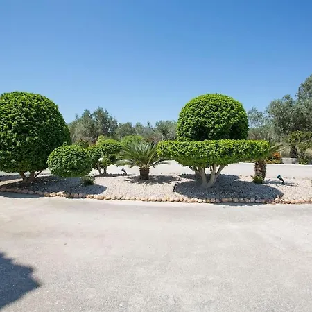 Serenity Αφάντου