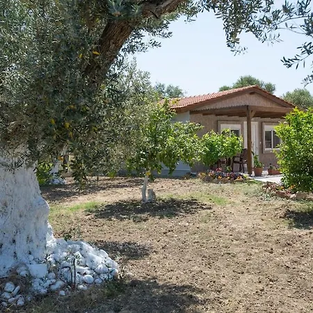 Serenity * Αφάντου