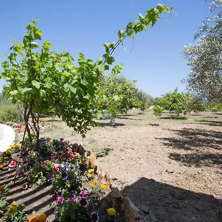 Διαμέρισμα Serenity