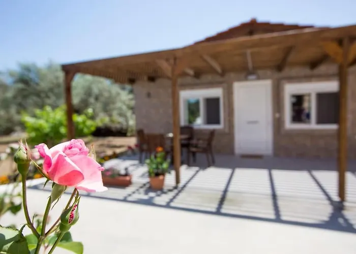 Appartement Serenity *